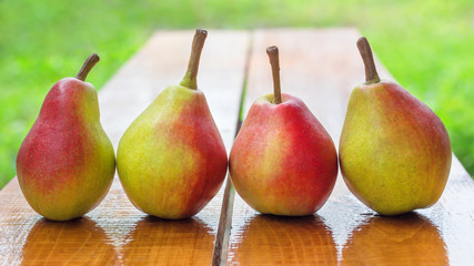 Fresh ripe organic pears. Colorful pears organized in row on rustic wooden table, natural background, Concept vegan, diet healthy food