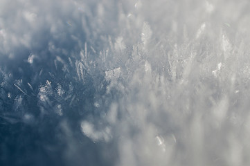 Snowflakes Winter Landscape Harz National Park