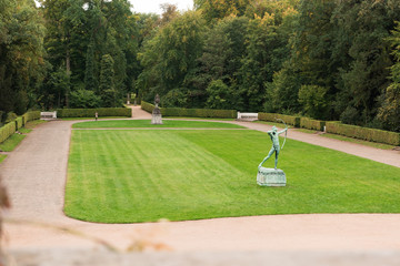 a hedge in the garden