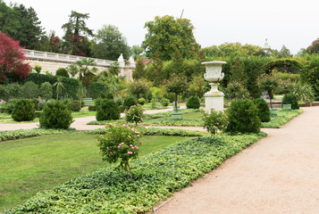 a hedge in the garden