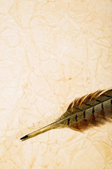 A bird feather on the background of a sheet of old parchment