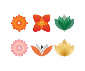 Collection of abstract flower logo and icon template vector