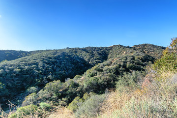 Hiking on clear morning in mountains