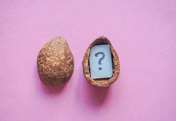 The question mark in the shell of a nut on a pink background.