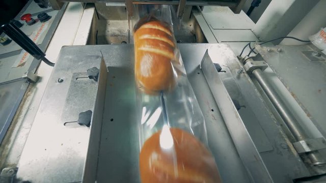 Packing conveyor. Packed long loaves of bread are moving on the conveyor.