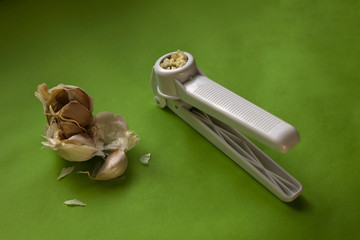 Freshly picked garlic, squeezed ready to use