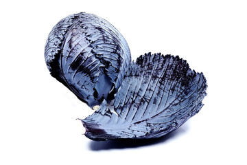 fresh red (violet) cabbage 