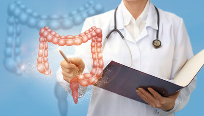 Doctor shows colon .