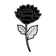 Beautiful flower symbol icon vector illustration graphic design