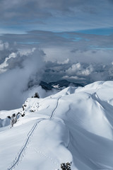 Skitourenspur am Grad entlang im Winter mit Berger im Hintergrund