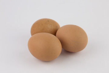 whole eggs of organic farming