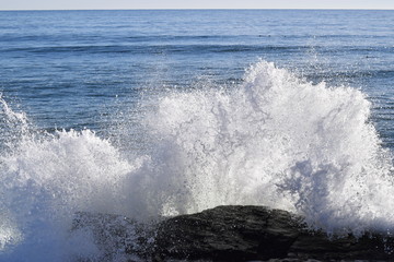 Fototapeta premium Waves