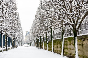Winter in Paris in the snow. View of a tree lined alley covered in snow in the Tuileries garden with the Marsan pavilion of the Louvre palace in the distance.