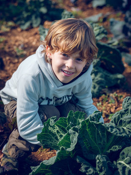 Cheerful boy sitting at cabbage