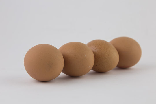 whole eggs of organic farming
