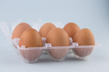 whole eggs of organic farming