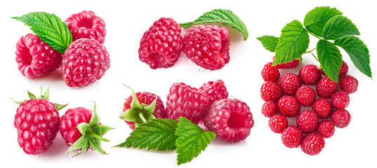 Set berry raspberry with green leaf. Collection fruit still life