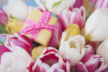 Gift with Fresh Spring Tulips