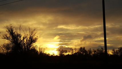 Forest pine trees silhouette against colorful clouds at sunset. Sunset, silhouettes of trees