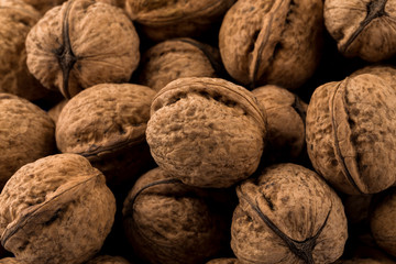Walnut nut closeup