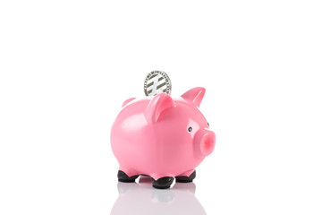 Litecoin coin in a piggy bank