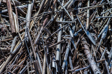 Dry straws in a mess