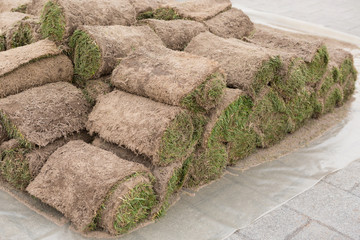 a stack of grassy turf in rolls, grass roll, ready for use in horticulture or landscaping