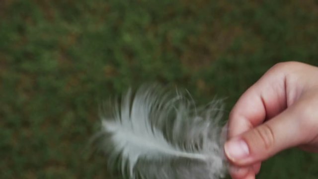 1916 Feather Being Dropped from Hand in Slow Motion