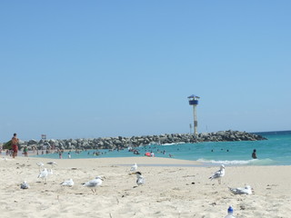 City beach - Perth Australia 