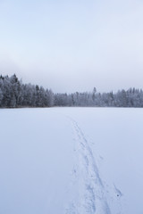 Path on the lake ice on a cloudy winter day in Finland. Path going far away on the ice.