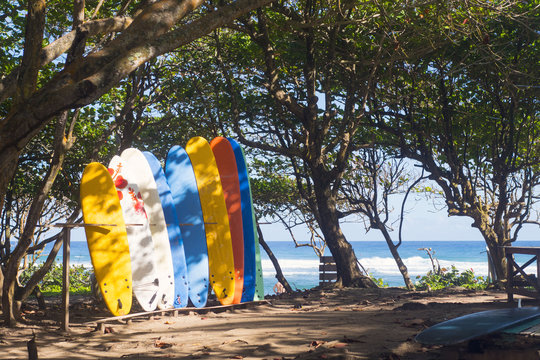 Multicolored Surfboards, ocean, surf school