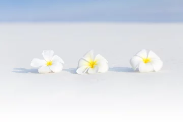 Zelfklevend Fotobehang White plumeria flowers on tropical beach © photopixel