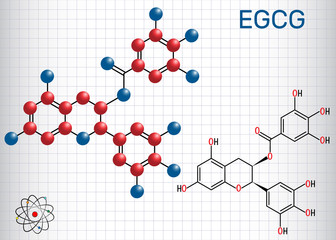 Epigallocatechin gallate (EGCG), is the most abundant catechin in tea. Structural chemical formula and molecule model. Sheet of paper in a cage