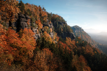 Fototapeta premium A view of the mountainside. Trees in autumn