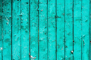 Old boards with cracked cyan paint. Textured wooden old background with vertical lines. Wooden planks for your design. Green-blue many times painted old wall with lagged fragments of paint lagging
