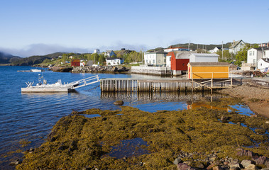 Newfoundland © Greg