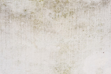 Textured background of a tiled wall with traces of moisture in the form of a green fungus vertical traces. Grunge texture