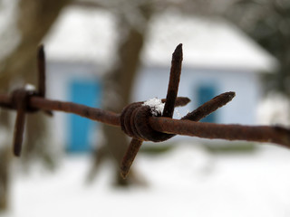 Snow-covered rusty barbed wire closeup