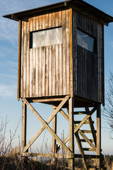 hunter stood on a field in golden light