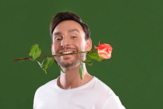 Handsome Smart Bachelor Man Holding A Beautiful Red Rose In His Mouth With Teeth On A Valentines Day Or Birthday With A Smile Isolated On A Black Background