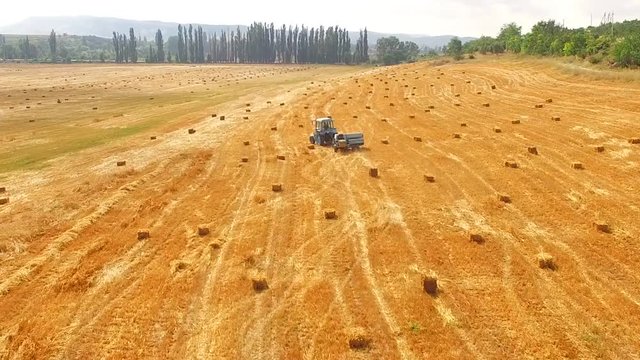 Flight over the field with hay and a tractor. bird's-eye view.