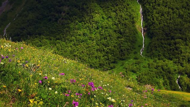 The fantastic waterfall