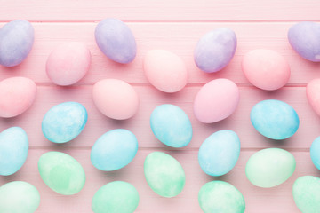 Pink pastel color tulip on the white background. Easter background.