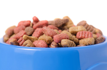 Food for dogs and cats in a blue bowl