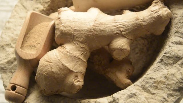 Zingiber officinale &Pi;&iota;&pi;&epsilon;&rho;ό&rho;&iota;&zeta;&alpha; Zenzero Jengibre Ingwer Ginger Ingef&auml;ra Kion Imbir lekarski Quion 薑 Inkiv&auml;&auml;ri Gừng Gengibre Имбирь video аптечный ショウガ 