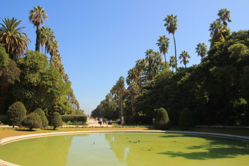 Jardin botanique d'Alger, Algérie © Picturereflex