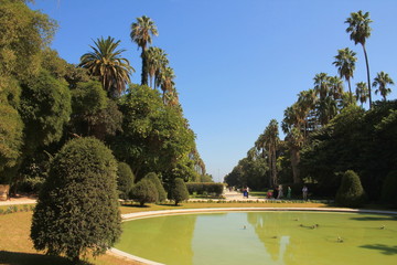 Jardin botanique d'Alger, Algérie © Picturereflex