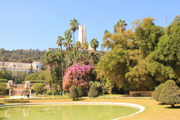 Jardin botanique d'Alger, Algérie © Picturereflex