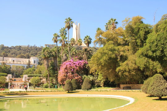 Jardin botanique d'Alger, Algérie