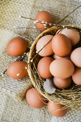 fresh farm chicken egg in the basket on textile background, preparation for Easter